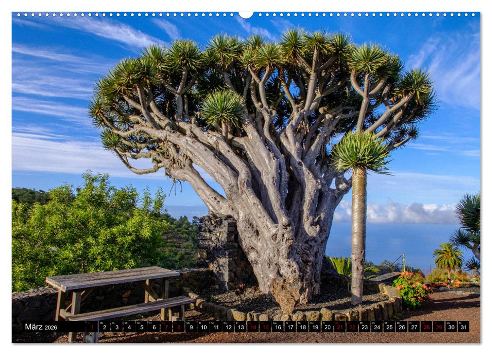 Natur pur erleben auf La Palma (CALVENDO Premium Wandkalender 2026)