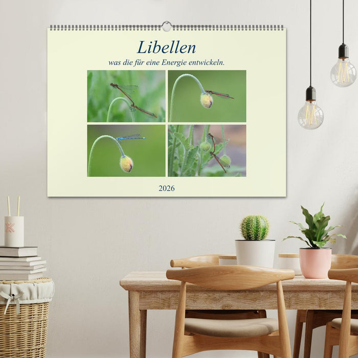 Libellen, was die für eine Energie entwickeln. (CALVENDO Wandkalender 2026)