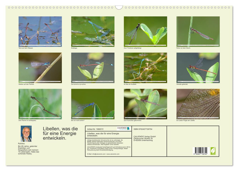 Libellen, was die für eine Energie entwickeln. (CALVENDO Wandkalender 2026)