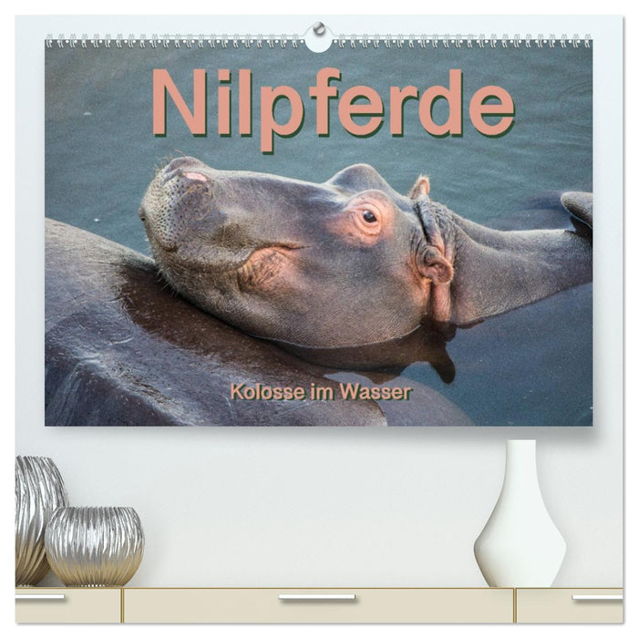 Nilpferde, Kolosse im Wasser (CALVENDO Premium Wandkalender 2026)