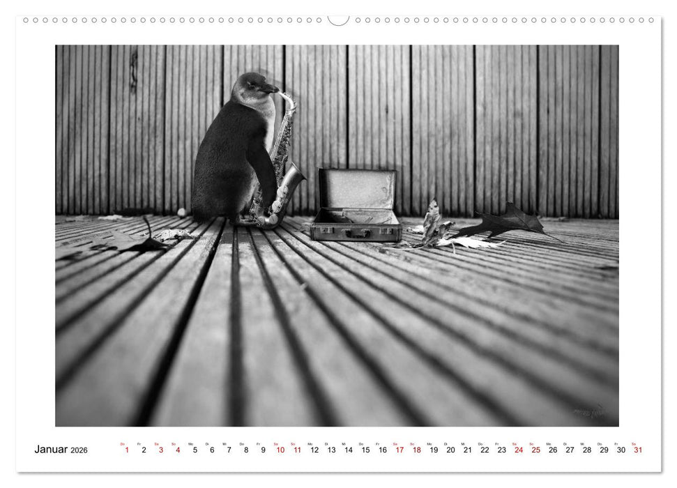 Pinguine privat (CALVENDO Premium Wandkalender 2026)