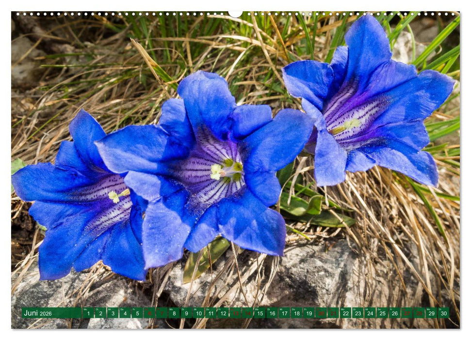 Oberösterreich Urlaubsregion Pyhrn-Eisenwurzen (CALVENDO Premium Wandkalender 2026)