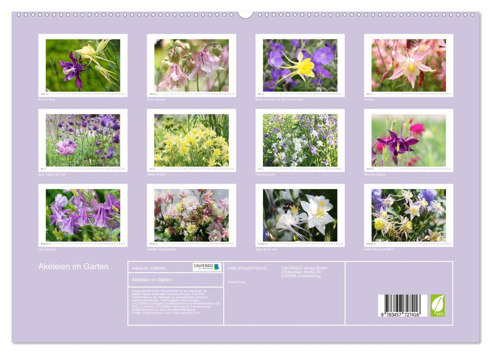Akeleien im Garten (CALVENDO Premium Wandkalender 2026)