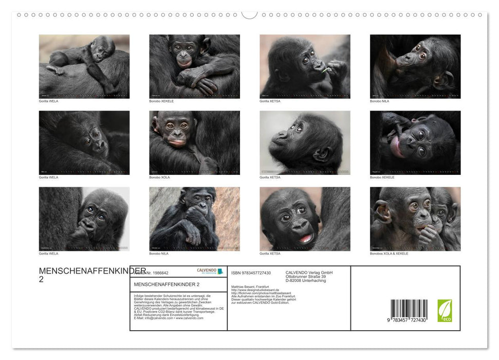 MENSCHENAFFENKINDER 2 (CALVENDO Premium Wandkalender 2026)