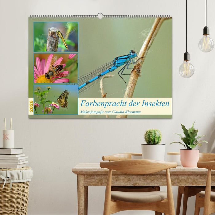 Farbenpracht der Insekten (CALVENDO Wandkalender 2026)
