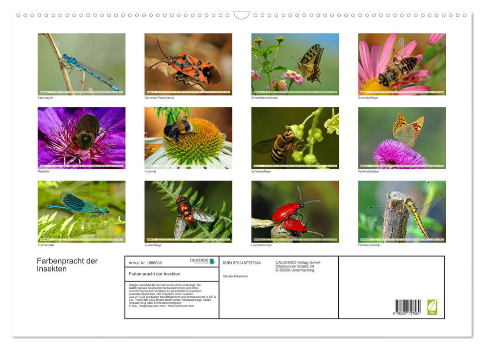 Farbenpracht der Insekten (CALVENDO Wandkalender 2026)