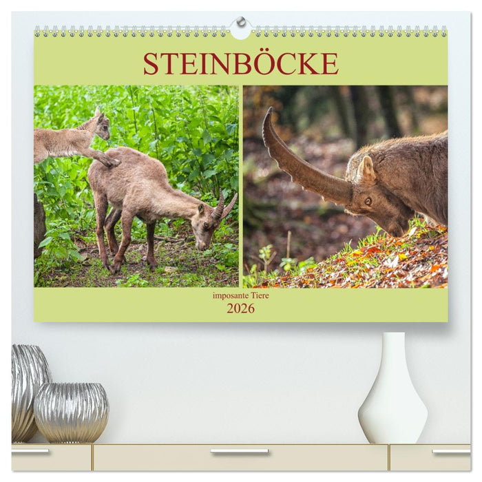 Steinböcke - imposante Tiere (CALVENDO Premium Wandkalender 2026)