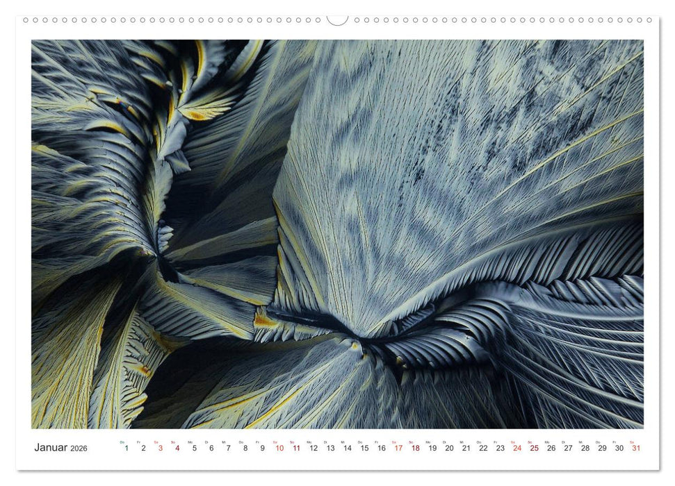 Fantastische Welten Mikrokristalle (CALVENDO Premium Wandkalender 2026)