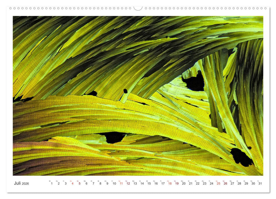 Fantastische Welten Mikrokristalle (CALVENDO Premium Wandkalender 2026)