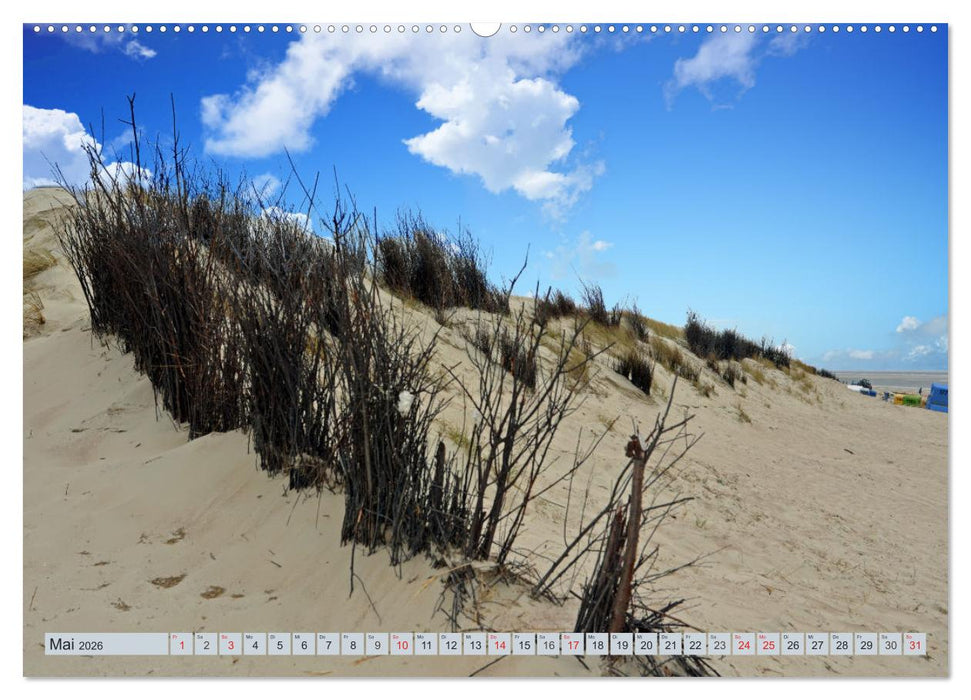 Langeoog - Natur Pur (CALVENDO Wandkalender 2026)