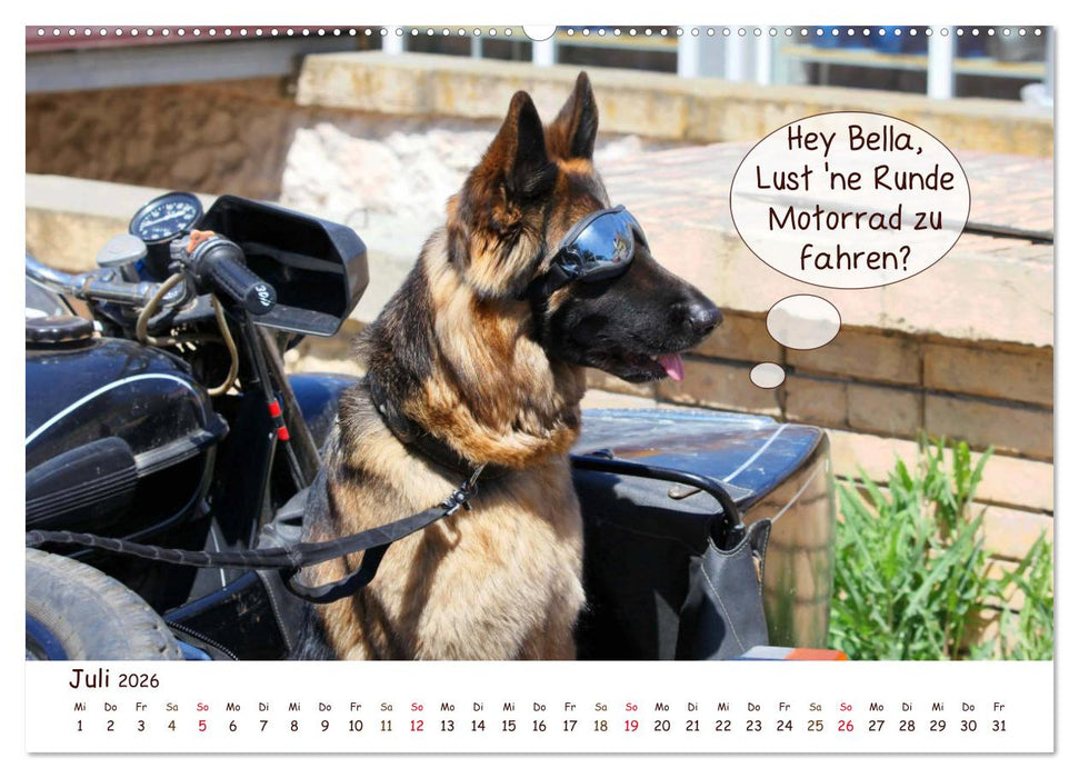 Frei Schnauze 2026. Was Hunde am liebsten sagen würden (CALVENDO Premium Wandkalender 2026)