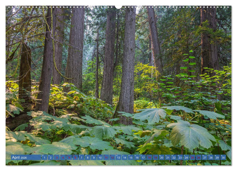 Landschaften Kanadas (CALVENDO Premium Wandkalender 2026)