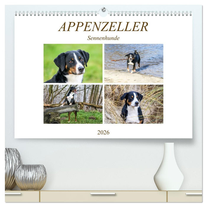 Appenzeller Sennenhunde (CALVENDO Premium Wandkalender 2026)
