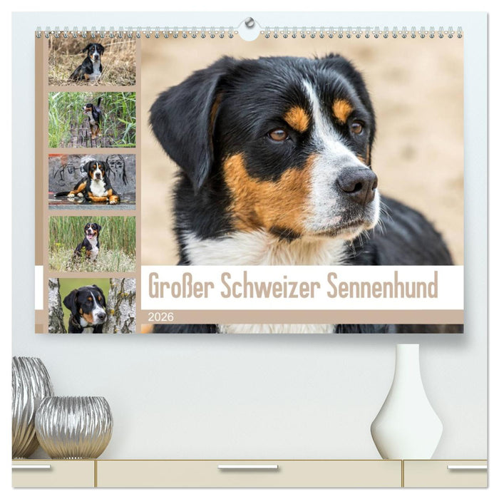 Großer Schweizer Sennenhund (CALVENDO Premium Wandkalender 2026)