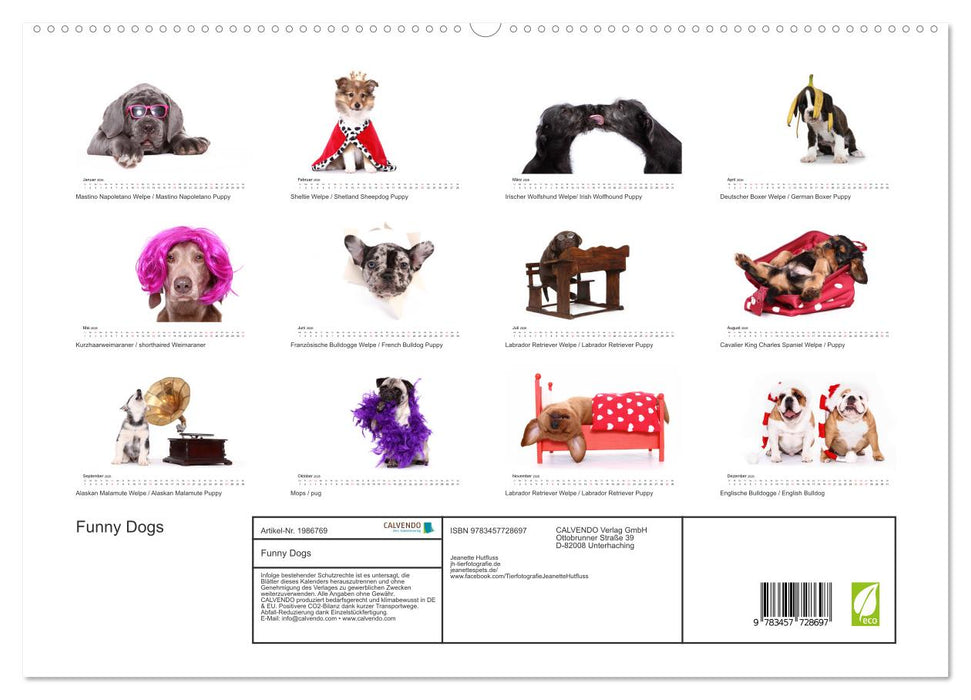 Funny Dogs (CALVENDO Premium Wandkalender 2026)