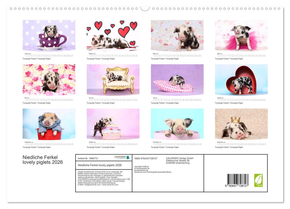 Niedliche Ferkel lovely piglets 2026 (CALVENDO Premium Wandkalender 2026)