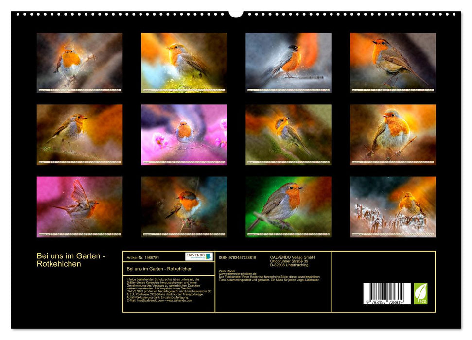 Bei uns im Garten - Rotkehlchen (CALVENDO Premium Wandkalender 2026)