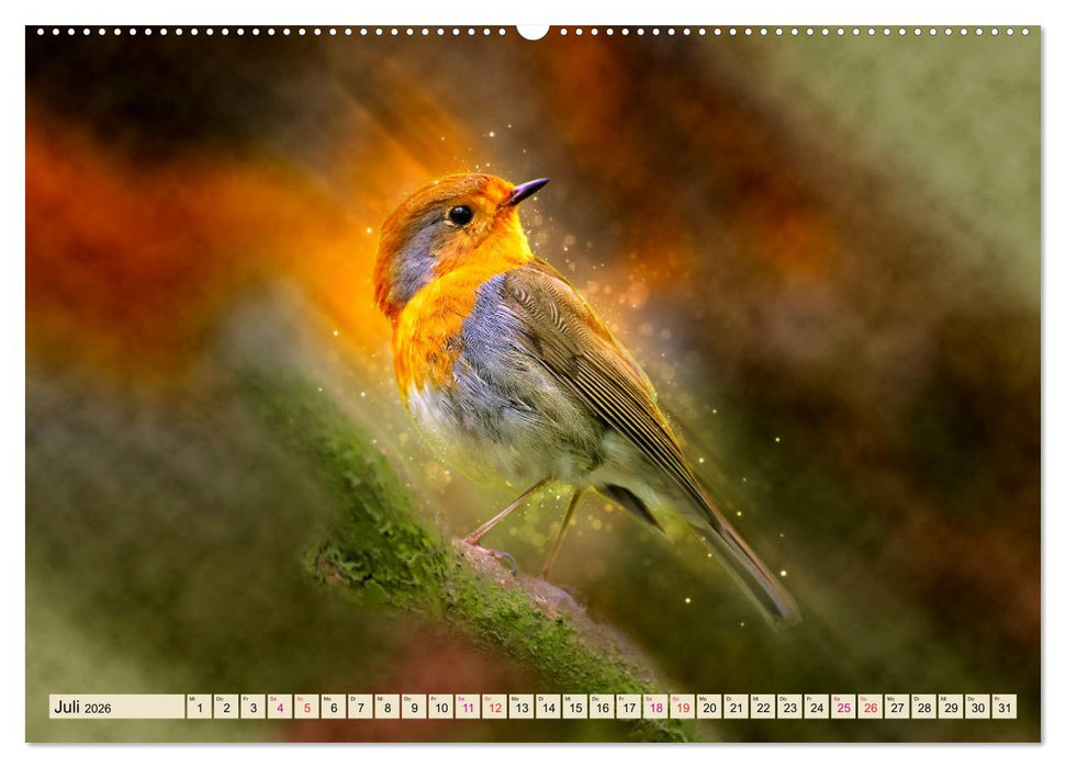 Bei uns im Garten - Rotkehlchen (CALVENDO Premium Wandkalender 2026)