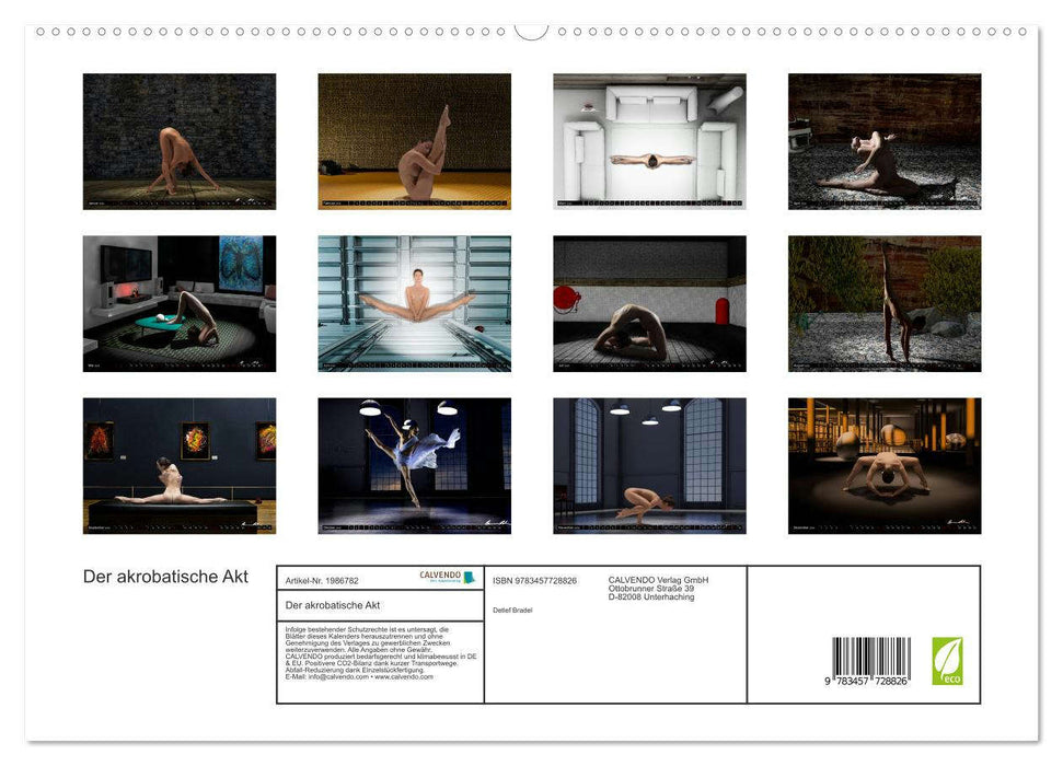 Der akrobatische Akt (CALVENDO Premium Wandkalender 2026)
