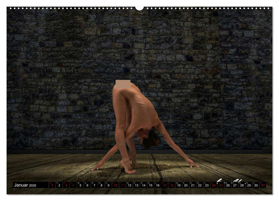 Der akrobatische Akt (CALVENDO Premium Wandkalender 2026)