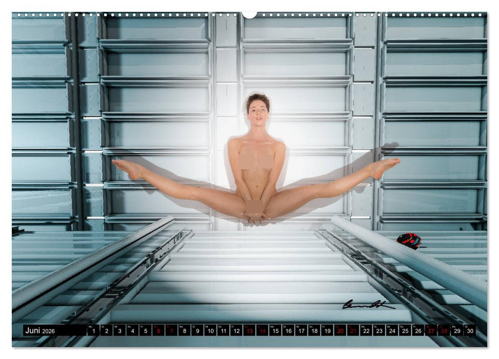 Der akrobatische Akt (CALVENDO Premium Wandkalender 2026)