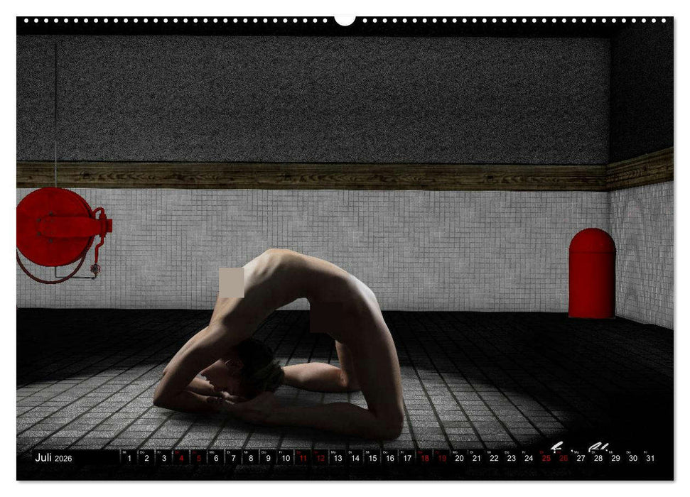 Der akrobatische Akt (CALVENDO Premium Wandkalender 2026)