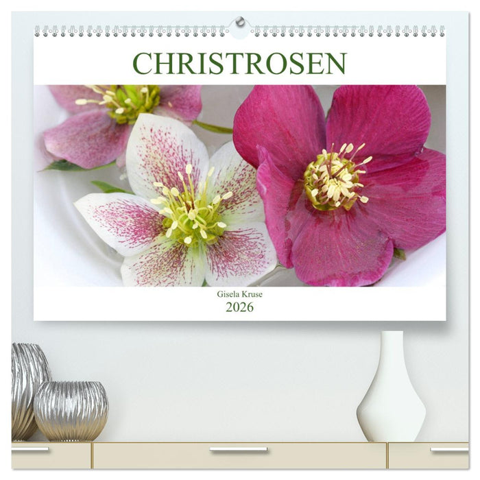 Christrosen (CALVENDO Premium Wandkalender 2026)
