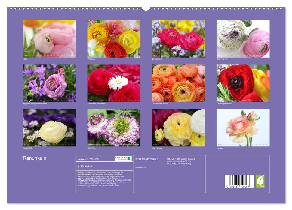 Ranunkeln (CALVENDO Premium Wandkalender 2026)
