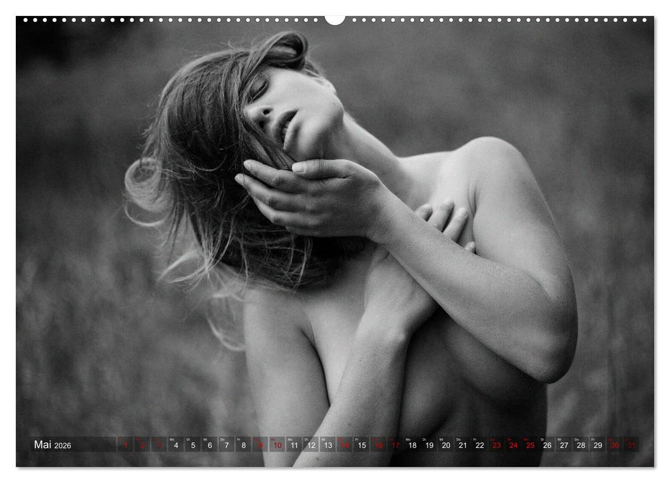 Du bist schön - Sinnliche Aktfotografien (CALVENDO Premium Wandkalender 2026)