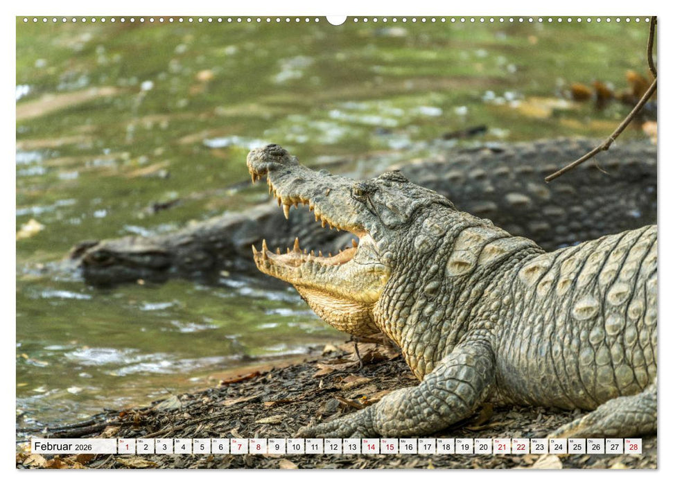 Westafrika - The Gambia (CALVENDO Wandkalender 2026)