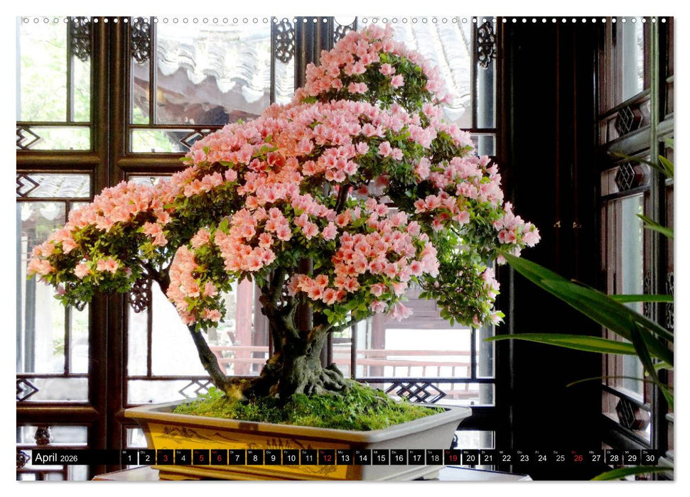 Im chinesischen Garten (CALVENDO Premium Wandkalender 2026)