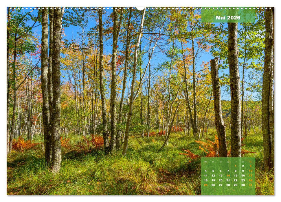 New England - Vielfalt einer Region (CALVENDO Premium Wandkalender 2026)