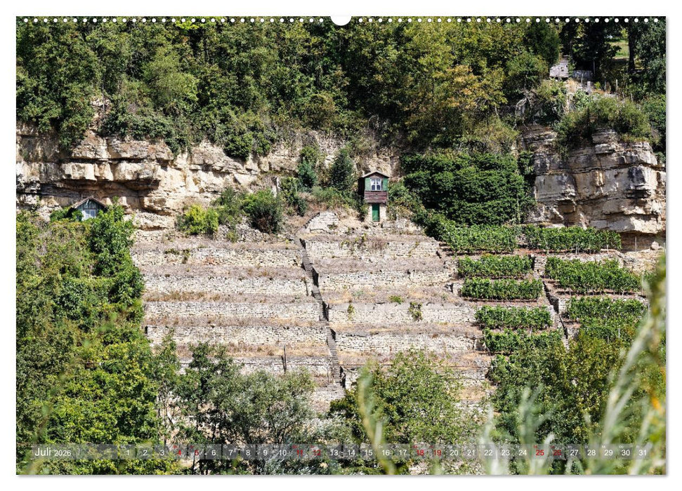 Weinberghäuschen - Schutz- und Werkzeughaus für den Weingärtner (CALVENDO Premium Wandkalender 2026)