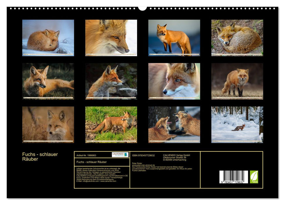 Fuchs - schlauer Räuber (CALVENDO Premium Wandkalender 2026)