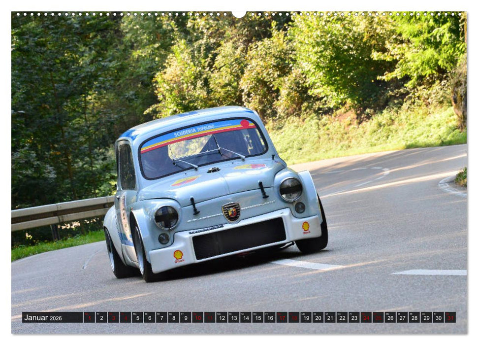 Rennsemmeln (CALVENDO Premium Wandkalender 2026)