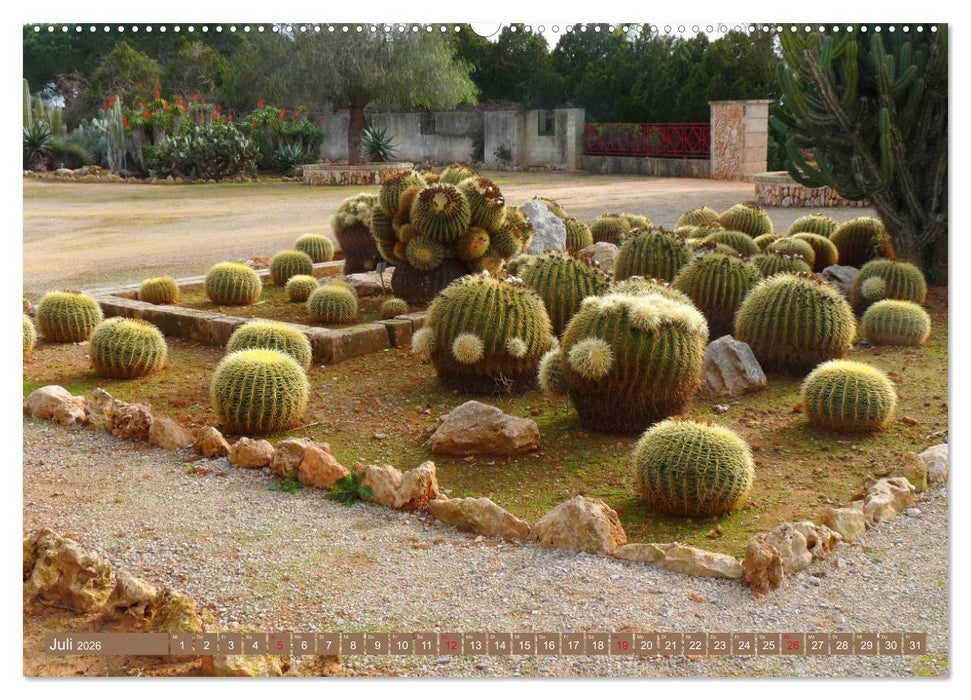 BOTANICACTUS Mallorcas Kakteengarten (CALVENDO Premium Wandkalender 2026)