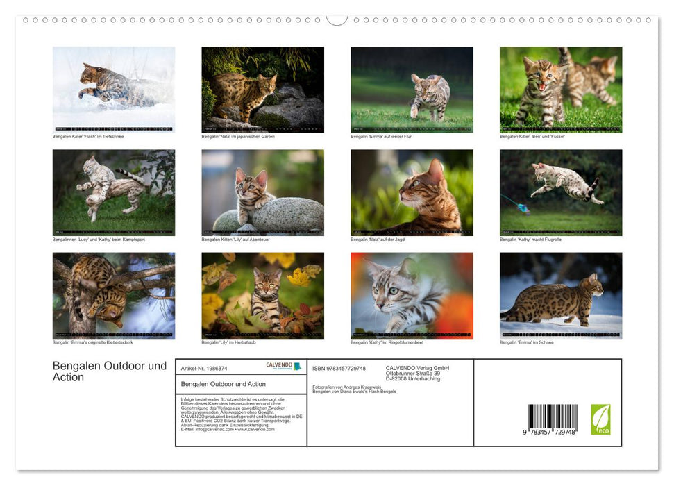 Bengalen Outdoor und Action (CALVENDO Premium Wandkalender 2026)