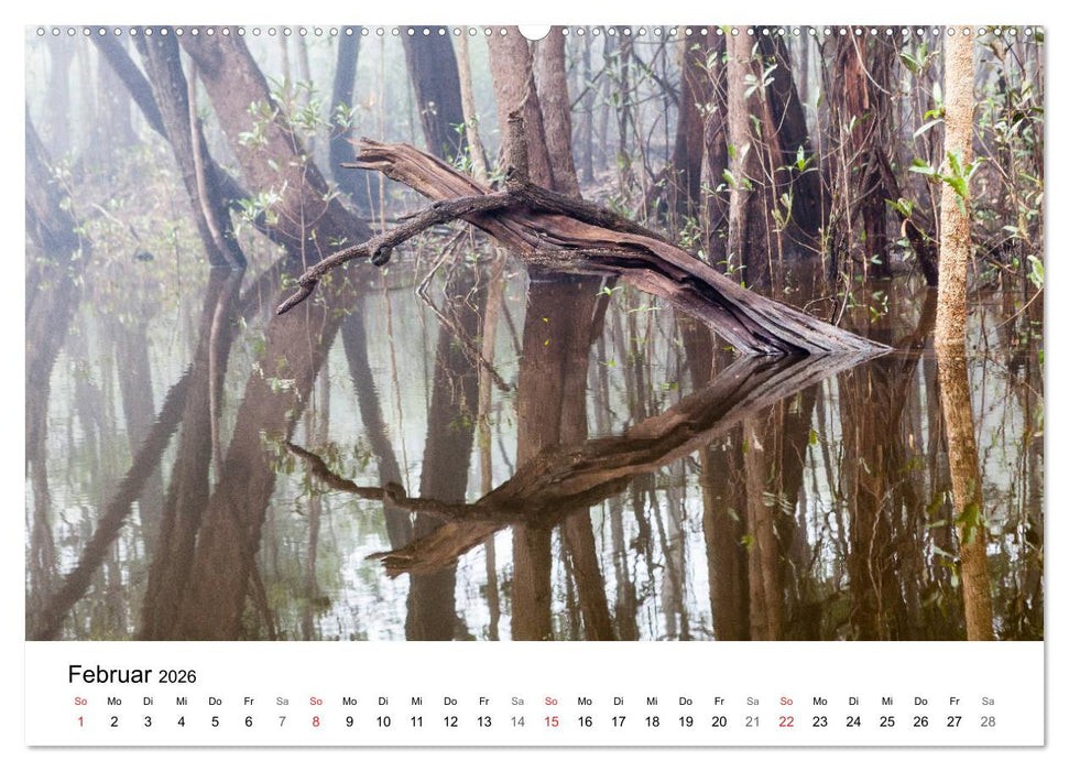 Mythos Amazonas - Naturparadies Brasiliens (CALVENDO Premium Wandkalender 2026)