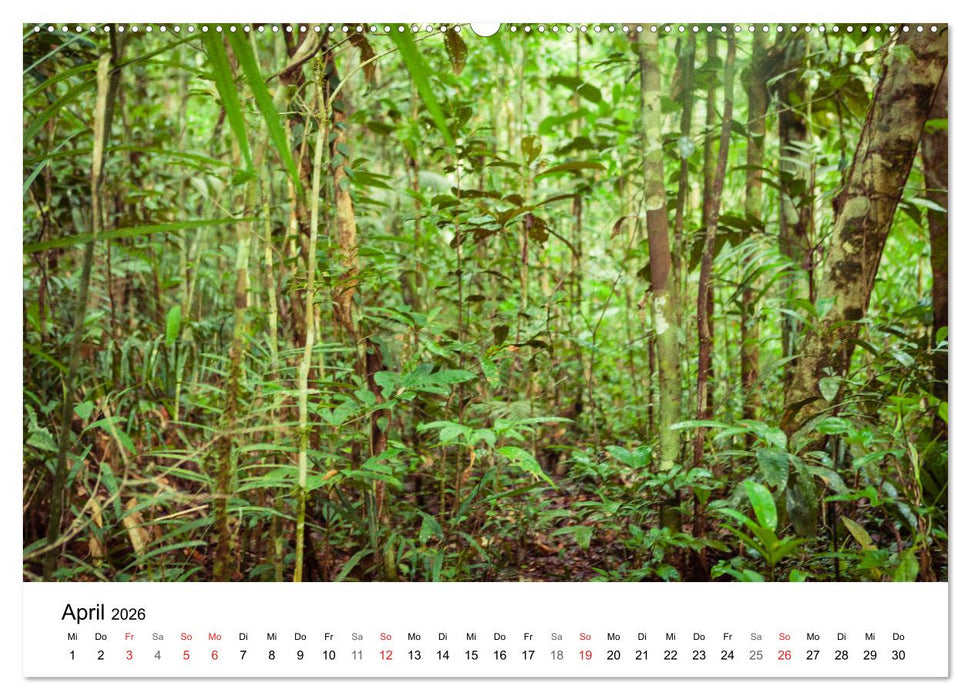 Mythos Amazonas - Naturparadies Brasiliens (CALVENDO Premium Wandkalender 2026)