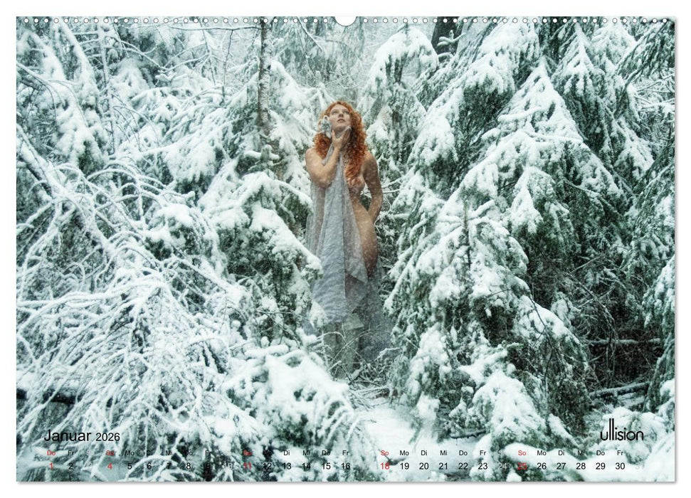 ZAUBERWALD Mystik der Natur (CALVENDO Premium Wandkalender 2026)