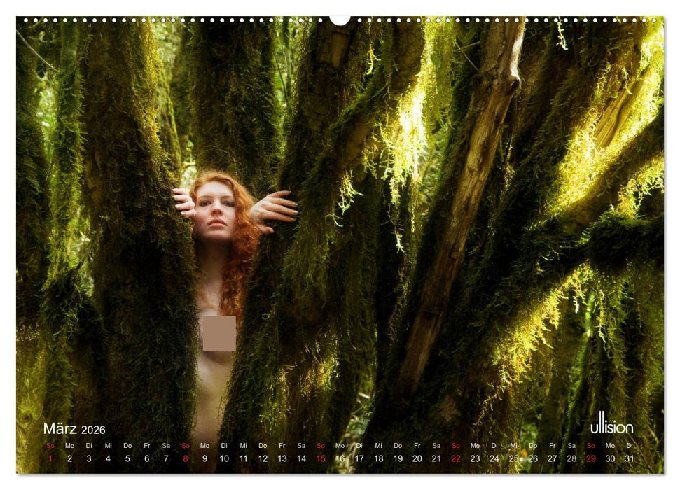 ZAUBERWALD Mystik der Natur (CALVENDO Premium Wandkalender 2026)