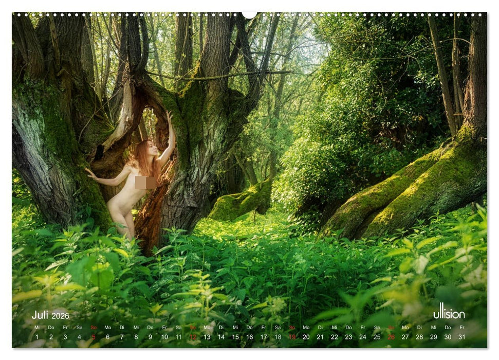 ZAUBERWALD Mystik der Natur (CALVENDO Premium Wandkalender 2026)
