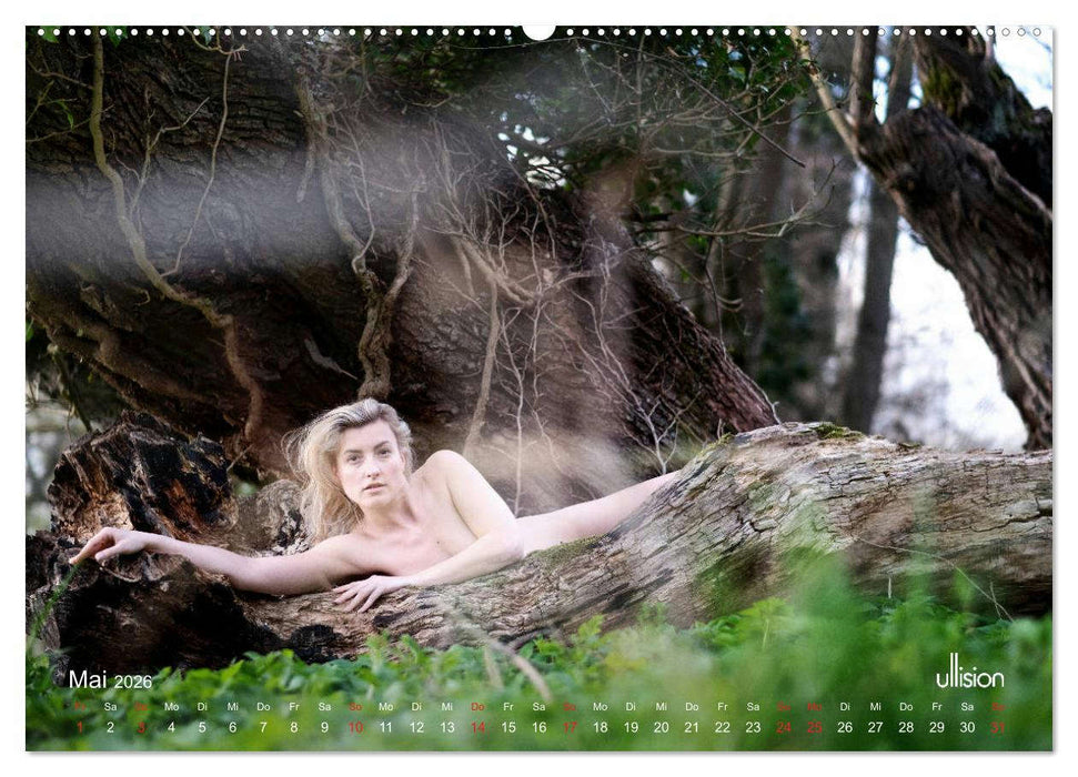 Lieblingsbäume - eins mit der Natur (CALVENDO Premium Wandkalender 2026)