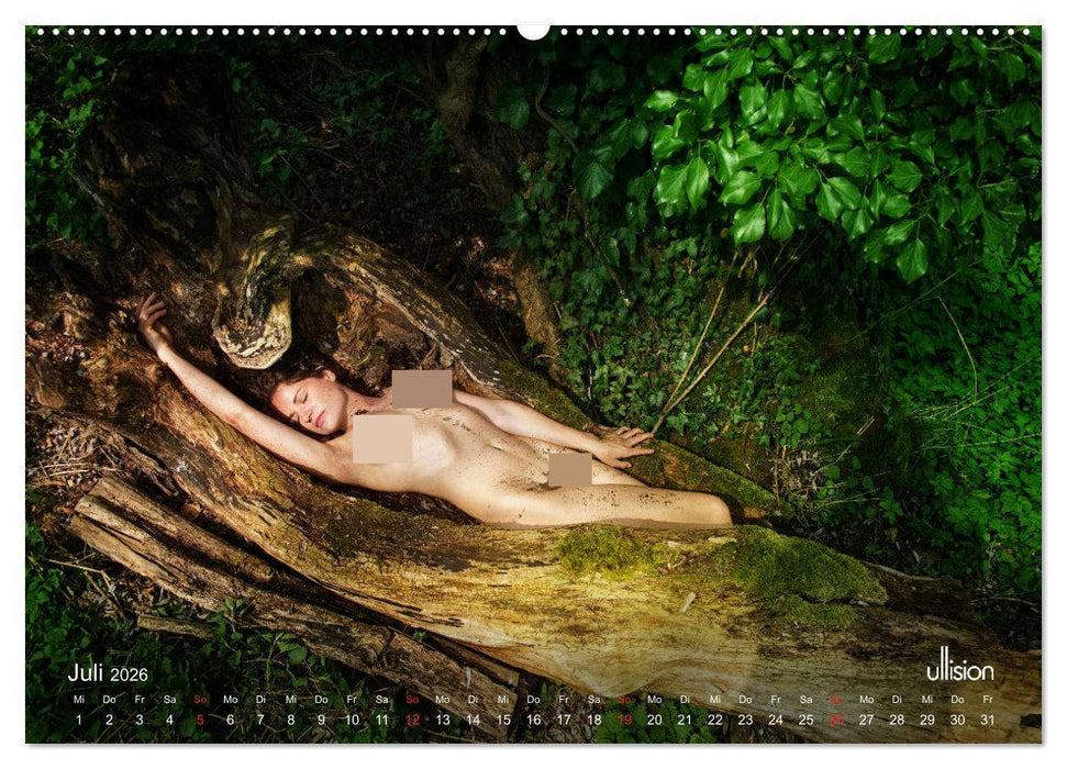 Lieblingsbäume - eins mit der Natur (CALVENDO Premium Wandkalender 2026)