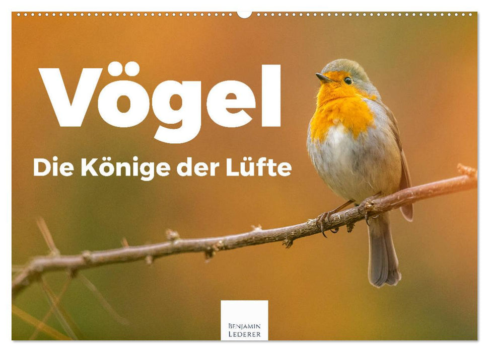 Vögel - Die Könige der Lüfte (CALVENDO Wandkalender 2026)