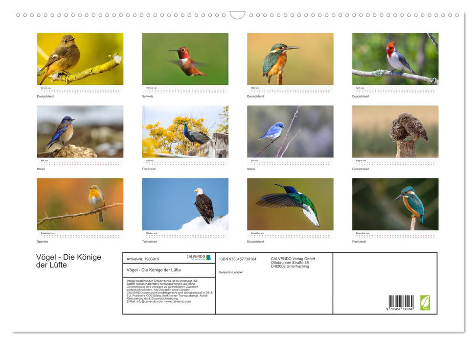 Vögel - Die Könige der Lüfte (CALVENDO Wandkalender 2026)