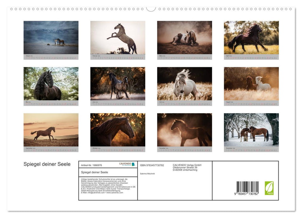 Spiegel deiner Seele (CALVENDO Premium Wandkalender 2026)