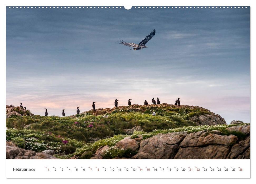 Nordland – Die Weite Skandinaviens (CALVENDO Premium Wandkalender 2026)