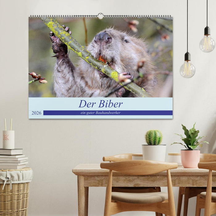 Der Biber, ein guter Bauhandwerker (CALVENDO Wandkalender 2026)