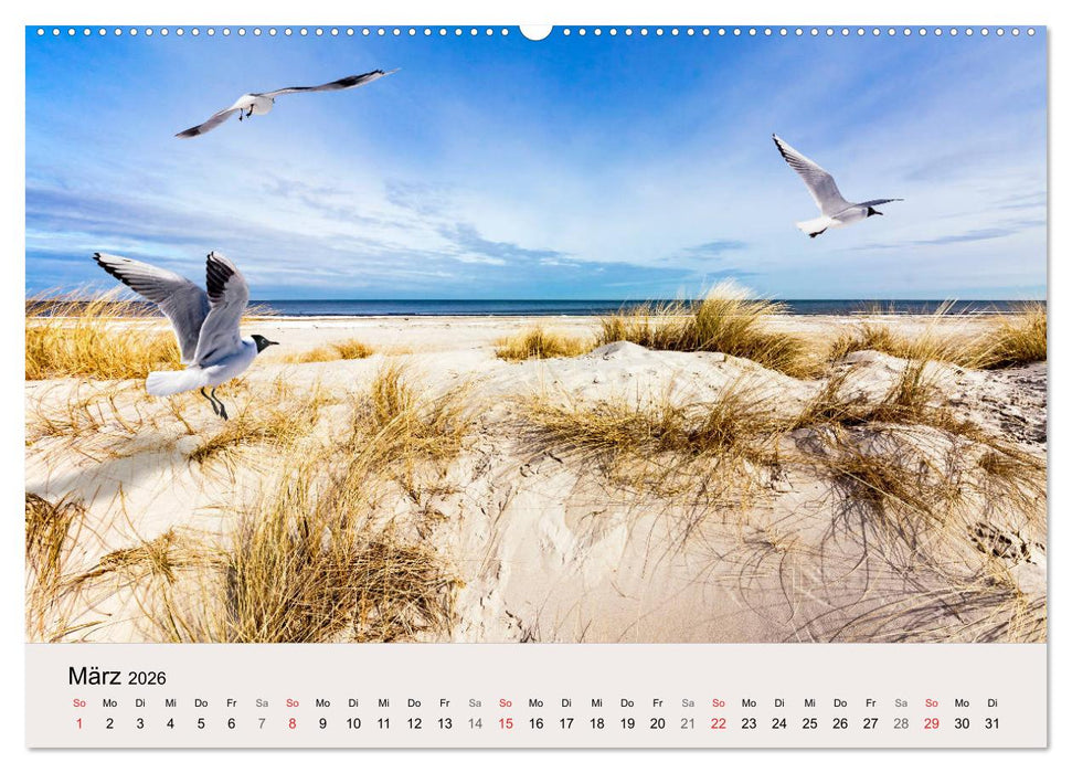 STRANDLUST: Fischland-Darß-Zingst (CALVENDO Premium Wandkalender 2026)